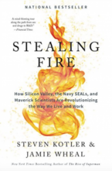 Book Cover for Stealing Fire